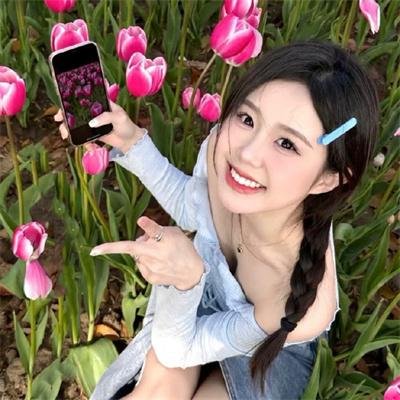 追梦小海豚